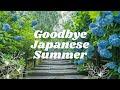 Goodbye Japanese Summer | Remember Summer Days