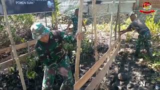 Pembibitan Mangrove 500 Pohon Koramil 1305-09 Bokat
