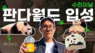 [VLOG] 🐼축구하는 판덕이의 판다월드 입성 바오패밀리를 만나다! (워토우 먹방,사파리월드, 에버랜드평일, 쌍둥바오, 어린이날!)