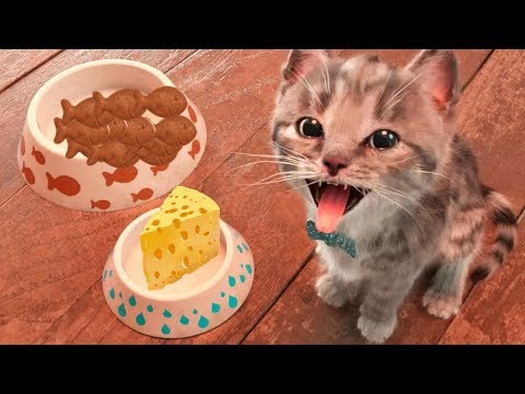 New - Little Kitten Adventures | Fun Cute Kitten Dress-Up Bathtime Kids Cartoon Colours Games