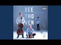 Miniature de la vidéo de la chanson Trio No. 11 In G Major, Op. 121A: 10 Variations On Wenzel Müller's Song "Ich Bin Der Schneider Kakadu"