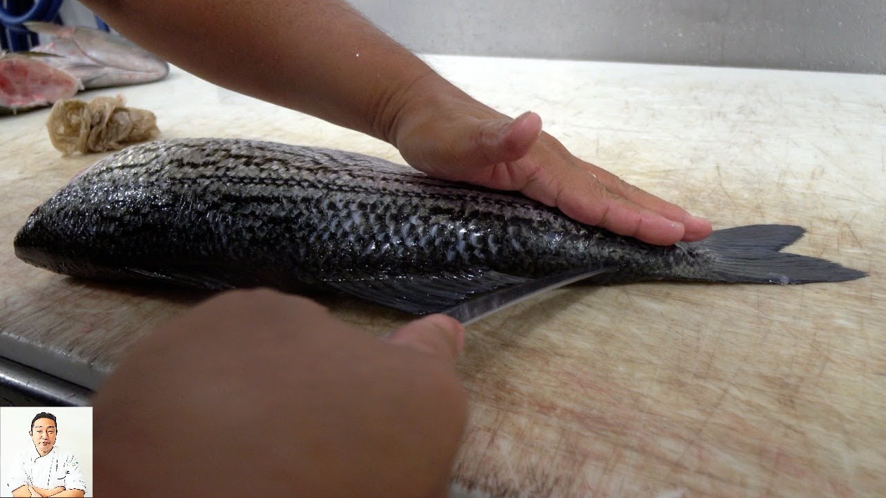 How To Fillet A Striped Bass & Kampachi Fish | Fresh And Delicious Sustainable Eating | Hiroyuki Terada - Diaries of a Master Sushi Chef