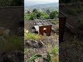 … unsere 2. Base nimmt Form an ! Container Home / Finca Teneriffa #tinyhome