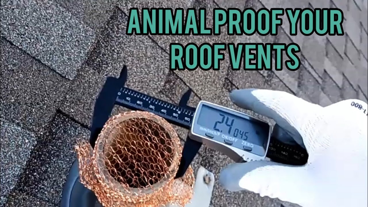 Animal Proof Roof Vent Pipes Budget Method YouTube animal-proof-roof-vent-pipes-budget-method-youtube