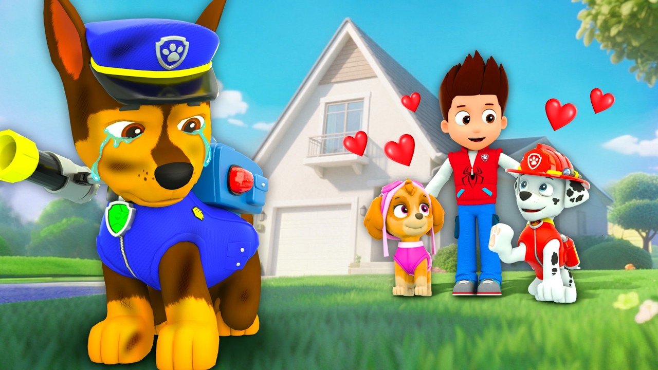 What Did Marshall Do Wrong? Did He Betray Them? A Shocking Truth | Paw Patrol in Spanish | Rainbow 3