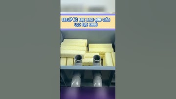Setup bộ lọc baki hồ cá đơn giản, lọc cực khoẻ #cacanh77 #aquarium #filteraquarium