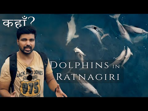 Dolphins in रत्नागिरी | मिरया - रत्नागिरीचा सुंदर बीच | भाग 1 | कोकण