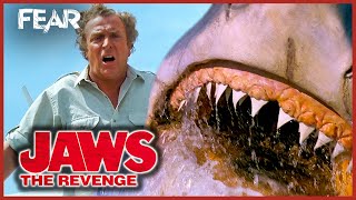 Jaws Attacks Michael Caine's Plane | Jaws: The Revenge | Fear