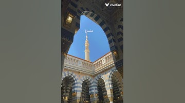 عندما تشعر بالوحده القرآن الكريم هو أفضل صديق لتكون معه