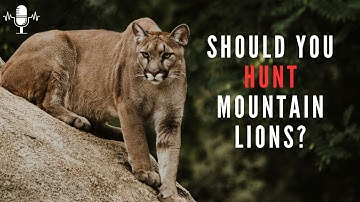 Large Carnivore Expert, Dr. Dan Thompson, on Mountain Lions - RAD Cast Rewind