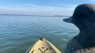 Choke Canyon Kayaking  Ducks  Part 1