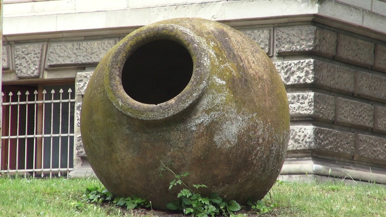 Cap compas: Călătorie la Varna (@TVR2)