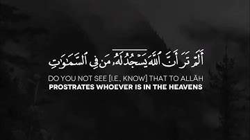 {أَلَمْ تَرَ أَنَّ ٱللَّهَ يَسْجُدُ لَهُ} سورة الحج الآية: 18 | الشيخ ياسر الدوسري حفظه الله