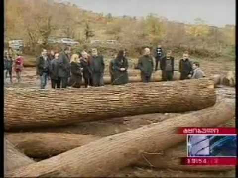 MOE: გასვლითი სხდომა ტყიბულში