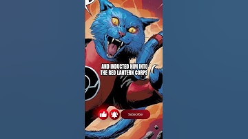 A Cat Becomes a Red Lantern #shorts #dc #dccomics