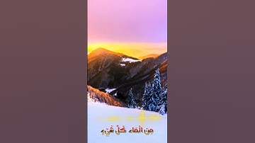 سورة الأنبياء و،.كا.نك تسمعها لأ..و.ل مر.ة💮💕..🌻🌹💟؛💘💐بصوت الشيخ حمزة مد؛بو.ح 🌷💔؛،🏵️💝؛.💘💕،.💝