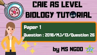 [BIO]  Transport in Plants | Paper 1 | 2018/MJ/13/Question 26