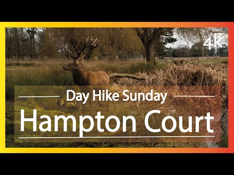 Hampton Court Circular walk Beginner Walkers!! Day Hike Sunday | 🇬🇧 Hiking UK | England