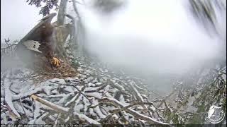 J E20230220 134010Mating