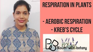 C 5; L 4 : Respiration in plants : Aerobic respiration (Link reaction and Kreb's cycle)