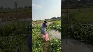 Beautiful lady fisherman catching catfishing in village big canal #bass #fish #villagelife #fishing