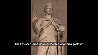 Juno vs Hera - Greek vs Roman Gods: What's the Difference