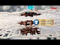برسيل جل الأزرق أول منظف جل للغسالات العادية