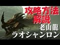 モンハンダブルクロス【MHXX】ラオシャンロン攻略方法を解説！攻略の鍵は「大砲」？