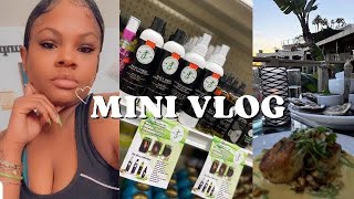 My First Mini Vlog A day in the life of being broke trying to get rich..