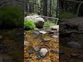 Serenity on the River | John Muir Wilderness, CA #nature #california #river #naturephotography
