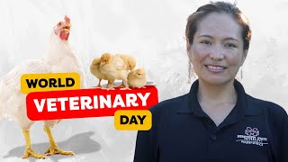 Dr. Nelly Cribillero: Almond Hulls in Poultry Diet