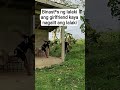 binast*s ang girlfriend kaya nagalit si kuya