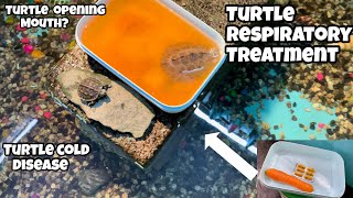 How to Treat Turtle Respiratory Infection | Turtle Opening Mouth | Turtle Not  Eating Food