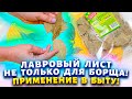 ПРОСТО ЗАВАРИТЕ ЛАВРОВЫЙ ЛИСТ! Морщины исчезнут, волосы не выпадают, 90% людей этого не знают, а зря