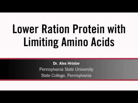 Video: În cereale limitarea aminoacizilor sunt?