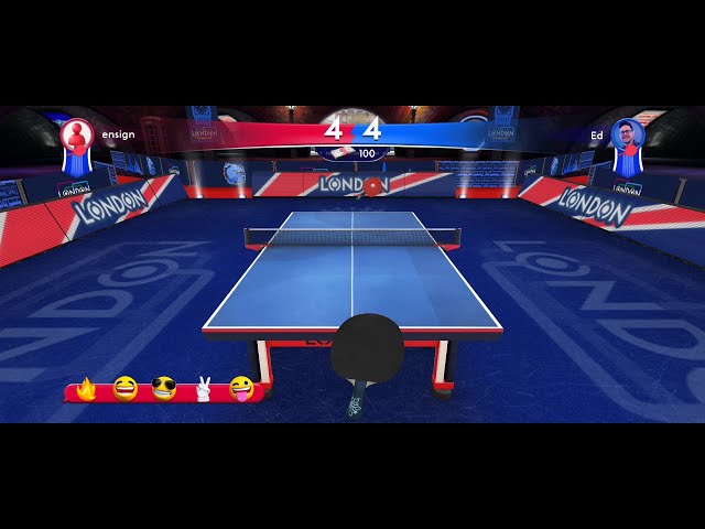 Ping Pong Fury - Sydney play with pro 