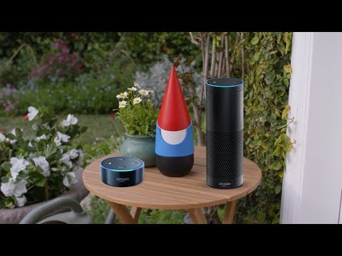 Introducing Google Echo