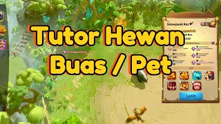 Tutorial Hewan Buas / Pet !! || Call of Dragons Indonesia