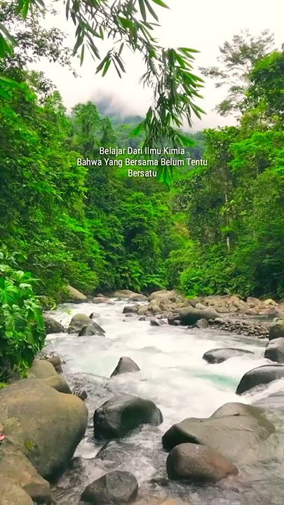 Story Satu Rasa Cinta -Arif #shortsstory