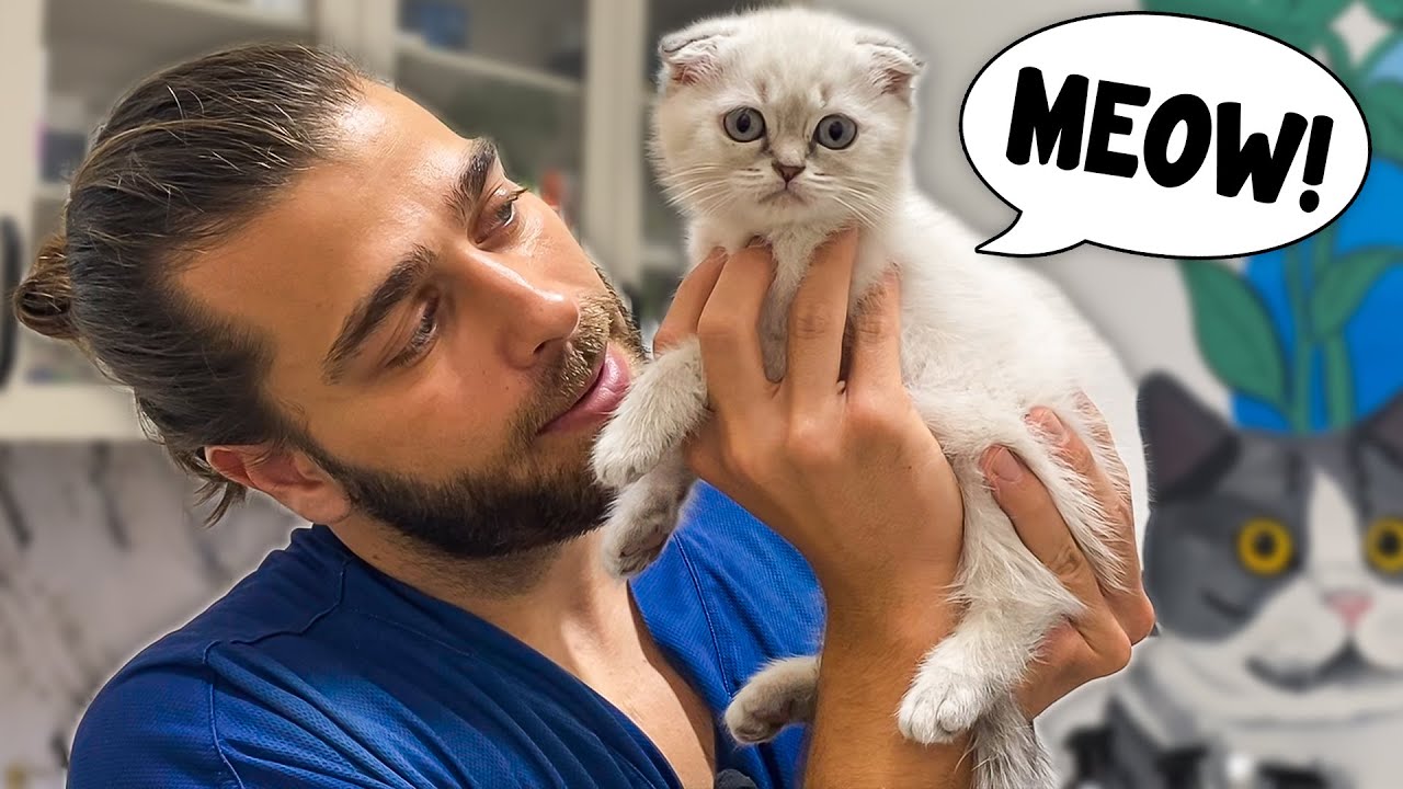 Очаровательный котенок очень игривый! (Первый визит к ветеринару!!!)