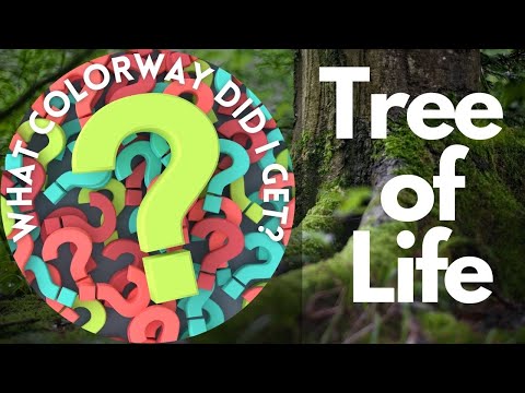 PMQ Tree Of Life Colorway Reveal