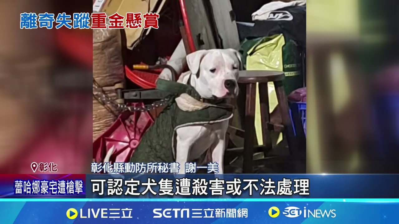 杜告犬受虐