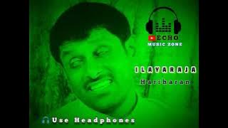 Punniyam Thedi - 🎶🎧🎼 - Ilayaraja - Echo Effects MP3 #echomusiczone