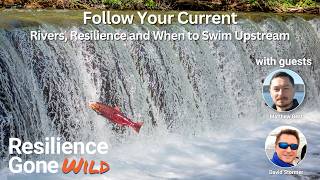 Follow Your Current: Rivers, Resilience, and When to Swim Upstream