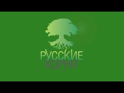 Расторопша пятнистая  Купить плоды расторопши в фито аптеке  “Русские корни “