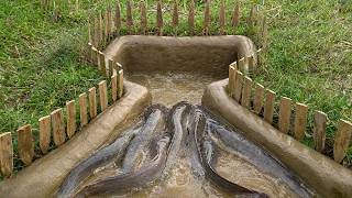Amazing Easy Fish Trap  Unique Easy Fish Trap System