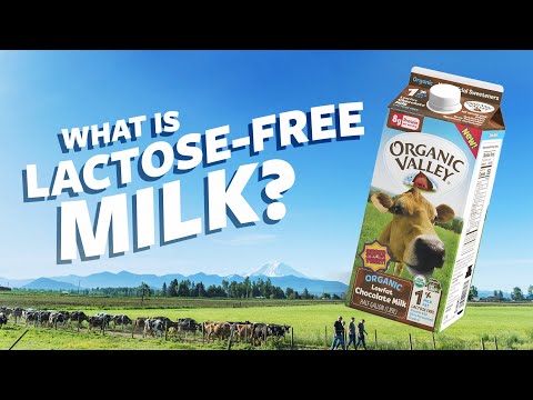 What is Lactose Free milk? | Ask Organic Valley