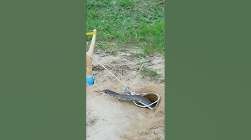 Easy Snake Trap   Build Underground Snake Trap & Chicken Catch Big Snake in Hole snaketrap