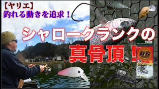 【ヤリエ】釣れる動きを追求！シャロークランクの 真骨頂！