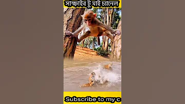 Funny Cute Banor 